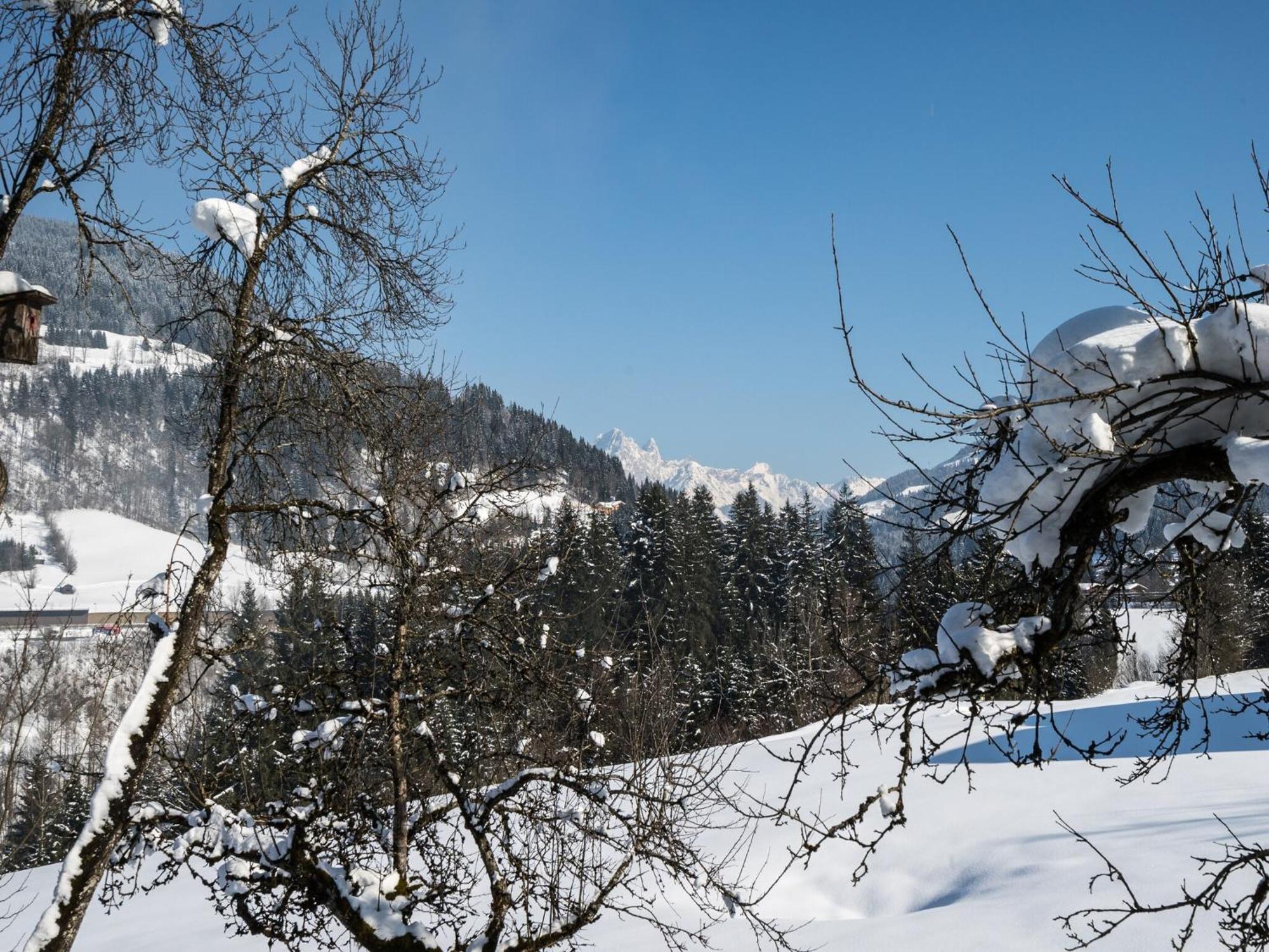 Sprawling Mansion Near Ski Area In Salzburg Eben Im Pongau Exterior photo
